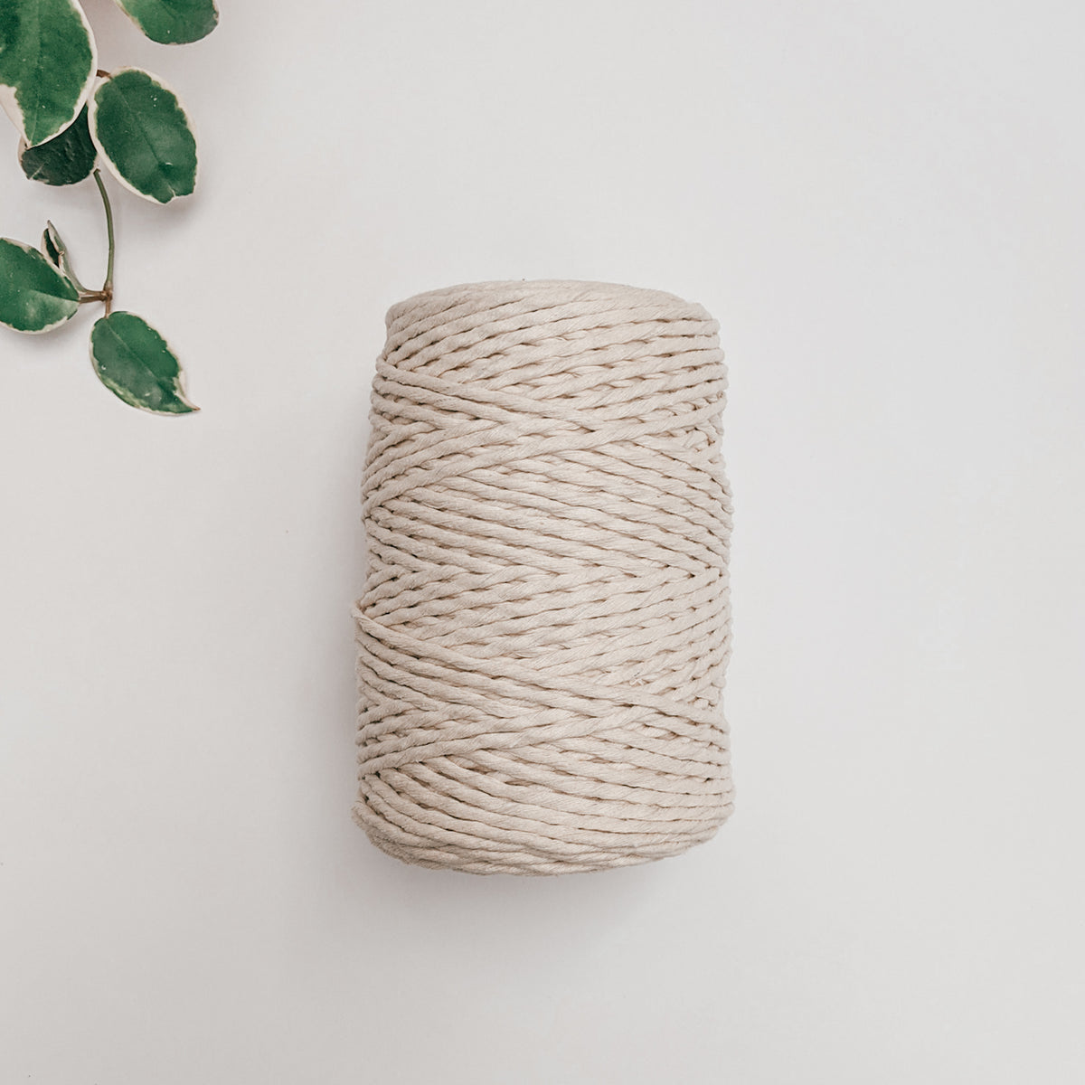 All for Knotting 3mm 3Ply Macrame Cotton Rope Approx 450ft/150yds/137m String for Wall Hanging, Plant Hanger, Coaster, Purse, Earrings, Keychains;