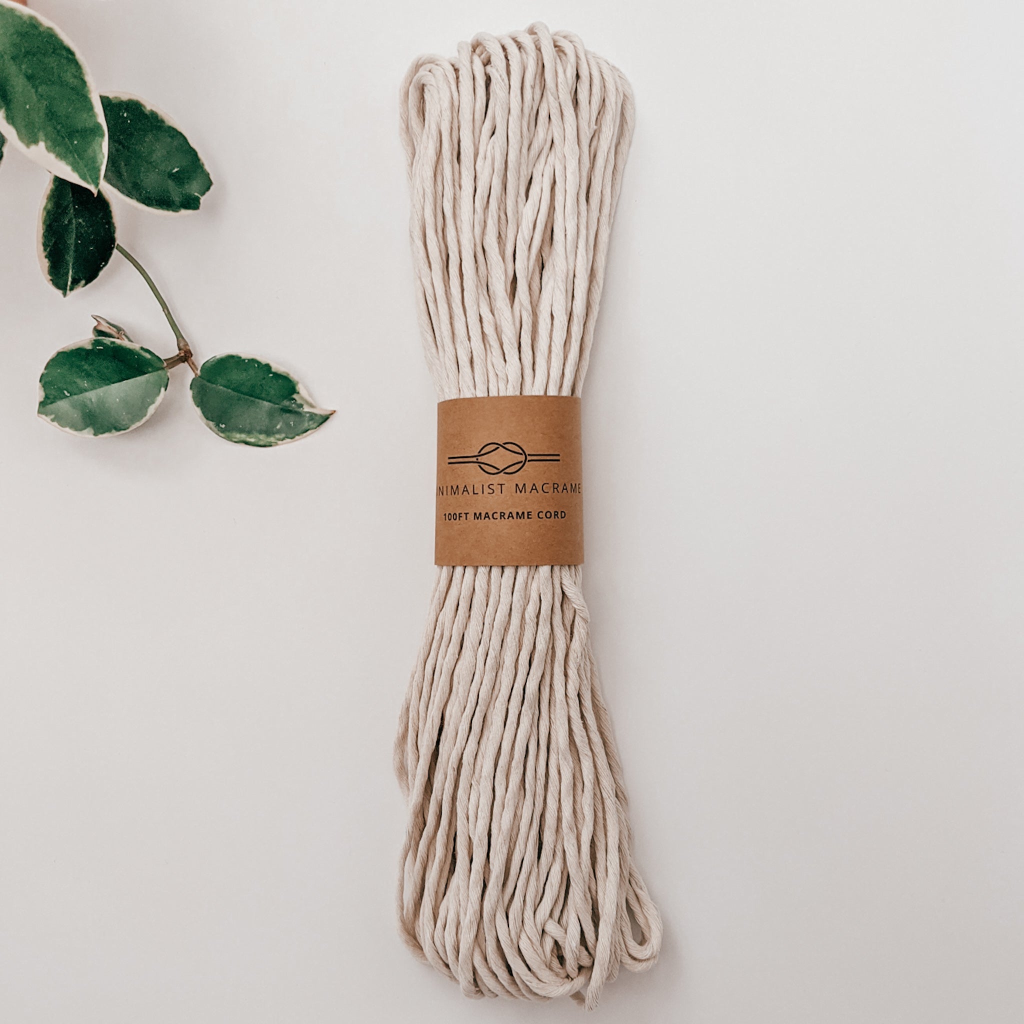 IVORY // 100 ft of 3mm Single Twist Cotton Cord