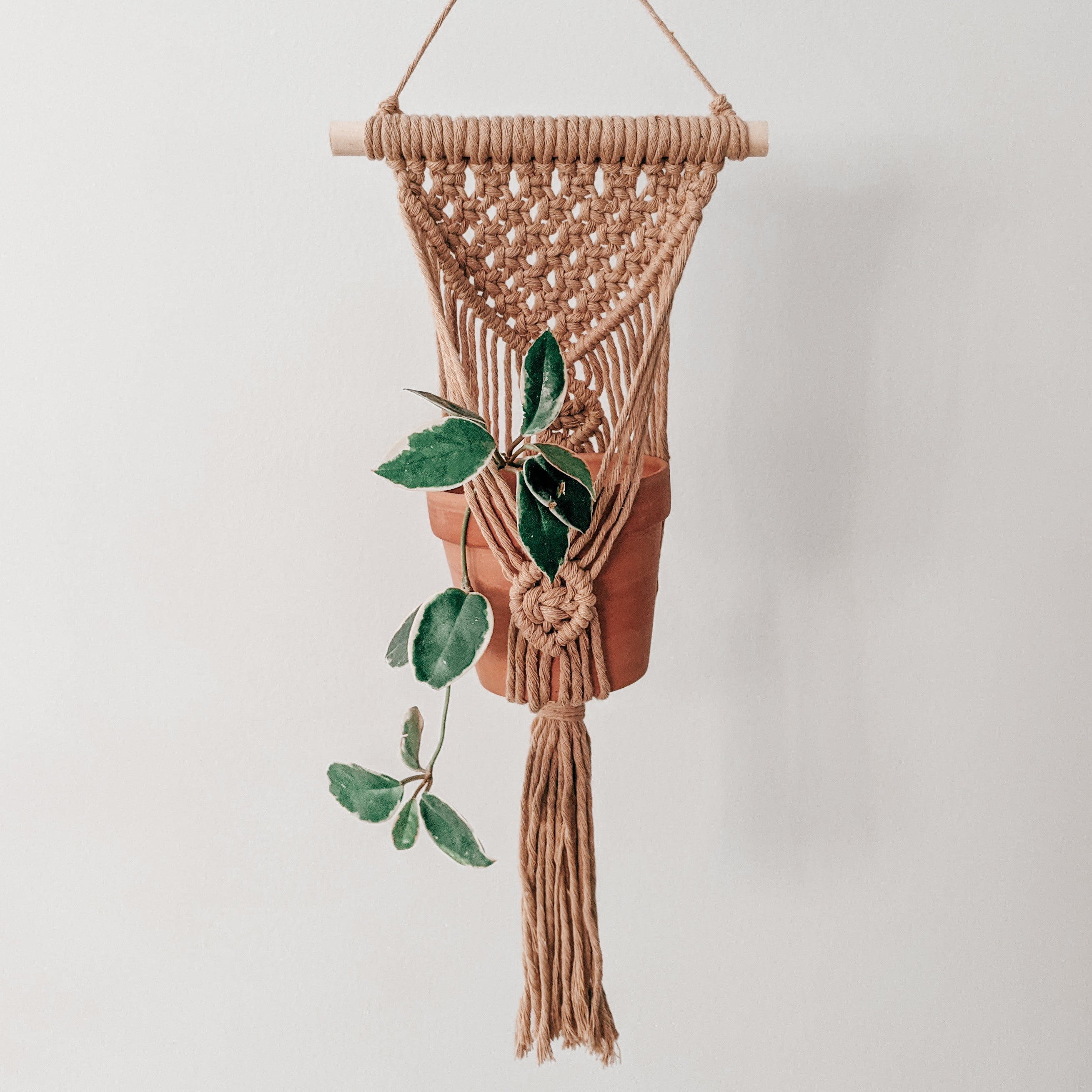 Wall Hanging Plant Hanger DIY Kit – Minimalist Macrame