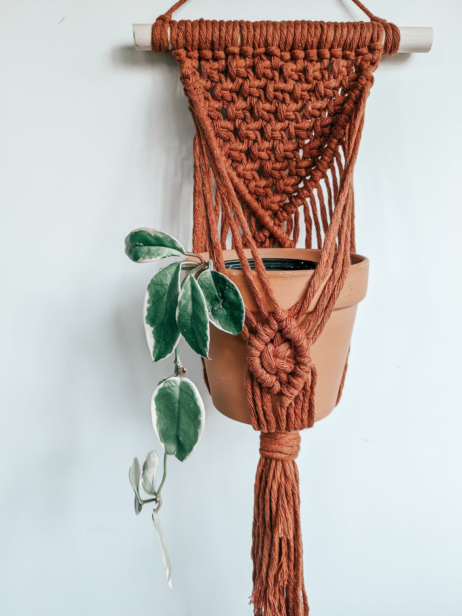 Wall Hanging Plant Hanger DIY Kit