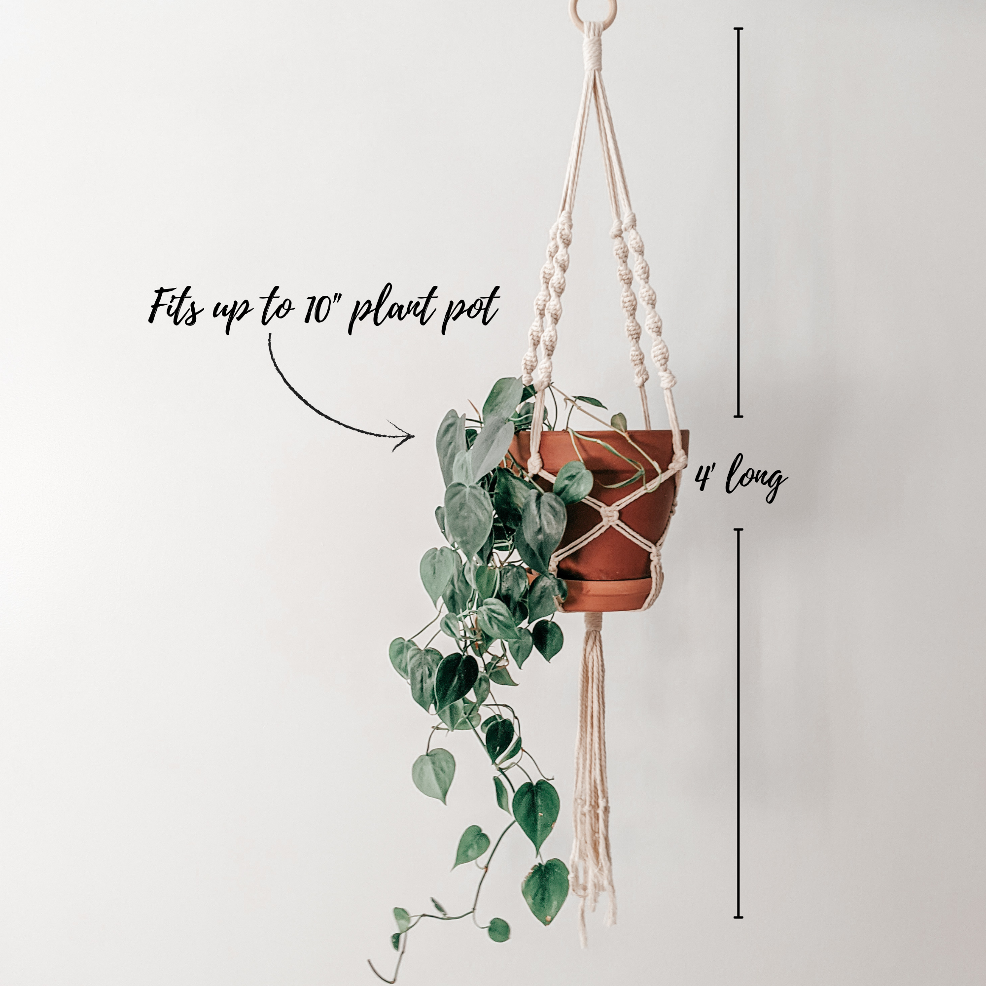 Boho Macrame DIY Plant Hanger Dimensions 4' in length fits plant pots up to 10" wide